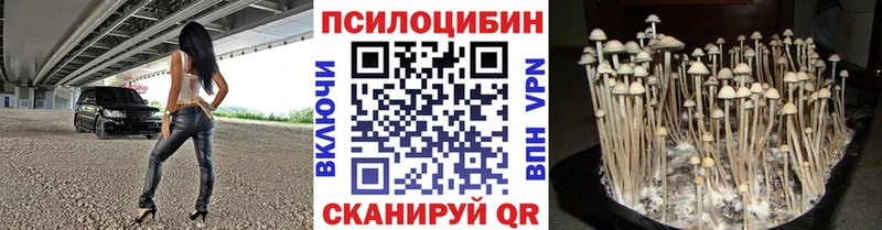 Псилоцибиновые грибы Cubensis  Болхов 